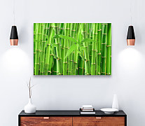 zelený obraz bambus green bamboo